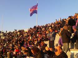 Fiorentina - Catania. Pari e tanti gol al Franchi