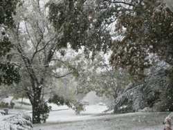 Mugello. Nevicate copiose per tutta la mattina sulle frazioni. Le previsioni... e sabato...