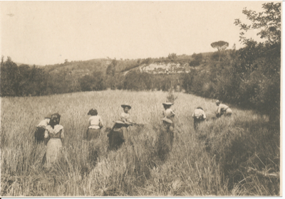 Barberino: domenica 8 Luglio si Festeggia la battitura