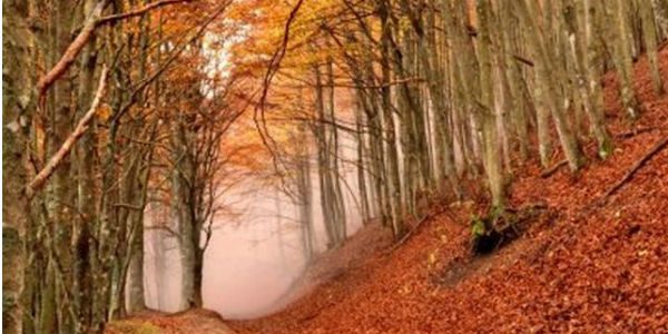 Giorno & Notte. Il primo fine settimana d'autunno in Mugello