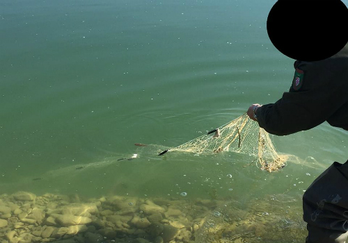 Pesca di frodo - rete rinvenuta 3