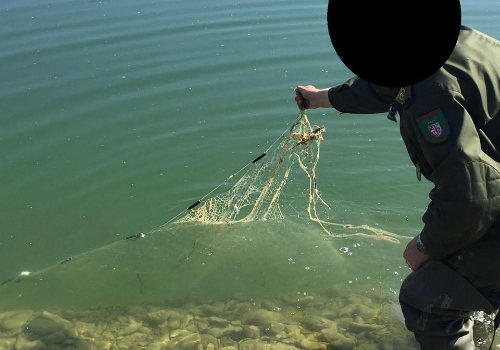 Pesca di frodo - rete rinvenuta 4