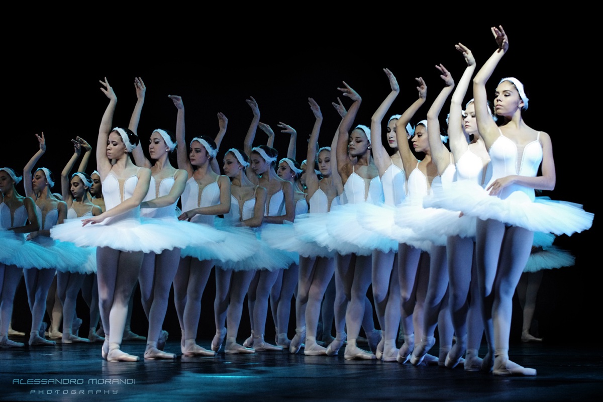 DIF 2017 - Il Lago dei Cigni