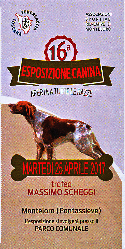 La 26° edizione della sagra del cinghiale a Monteloro