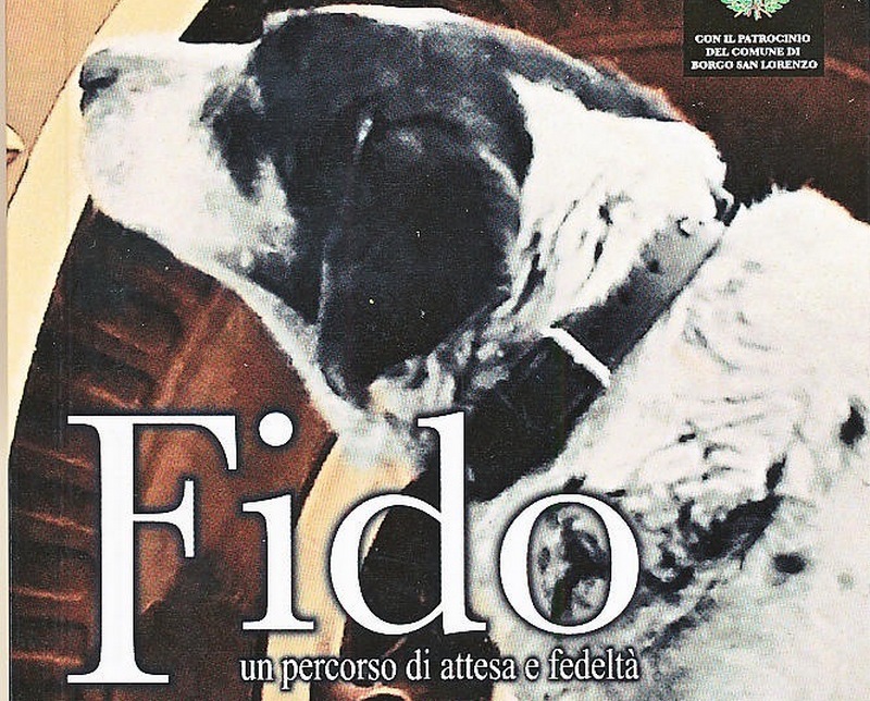 FOTO 1 FIDO