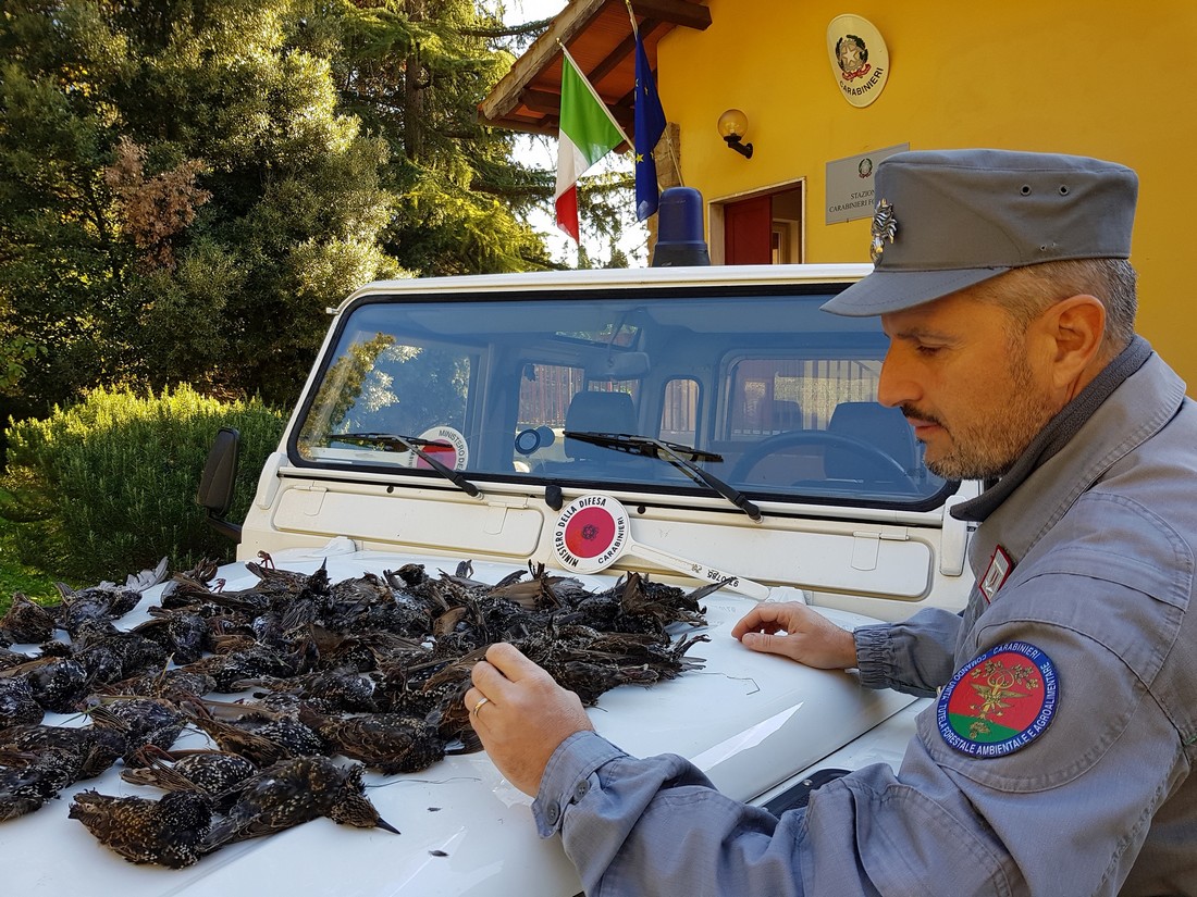 Caccia. Controlli a tappeto della Forestale, anche in Mugello