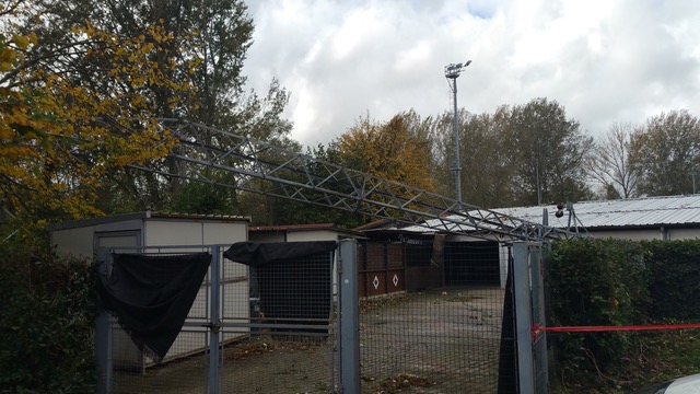 tralicci Sagginale abbattuto da alberi 2