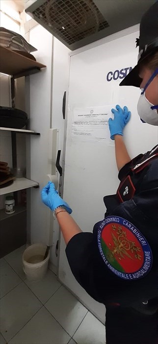 Cibo scaduto e conservato in mezzo alle blatte. Igiene zero e clandestini a lavoro,chiuso ristorante