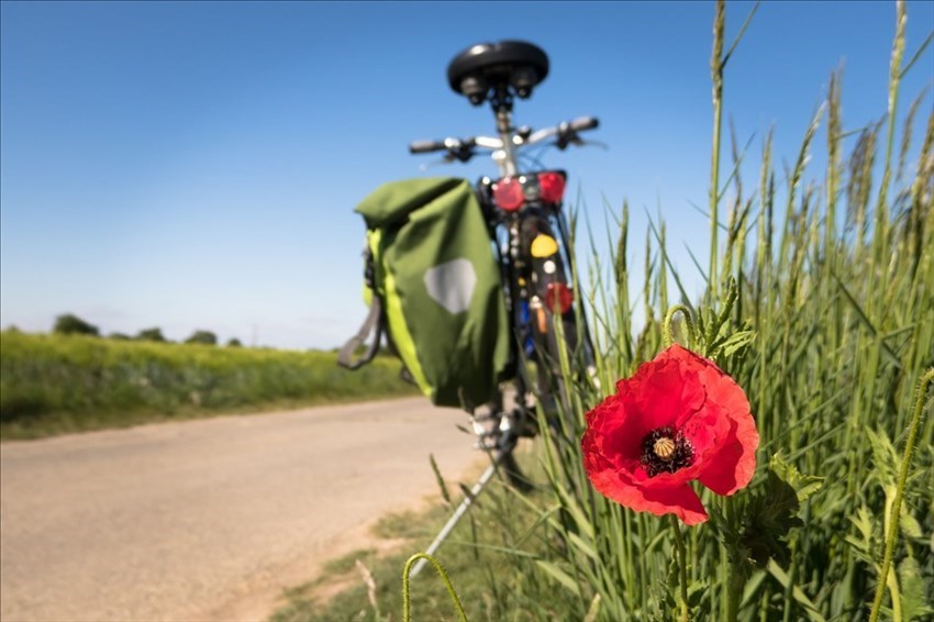 Pista ciclabile