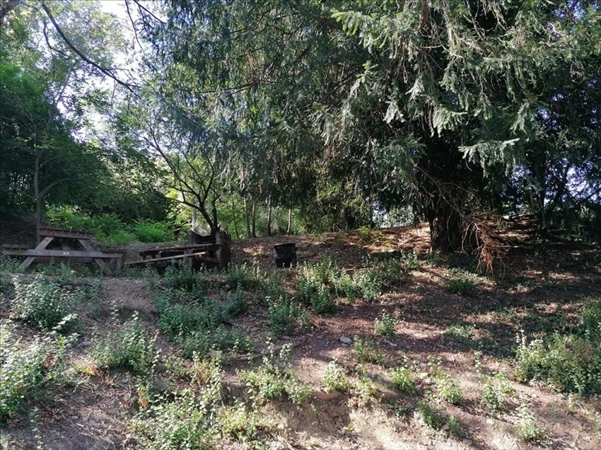 il giardino di Carraia