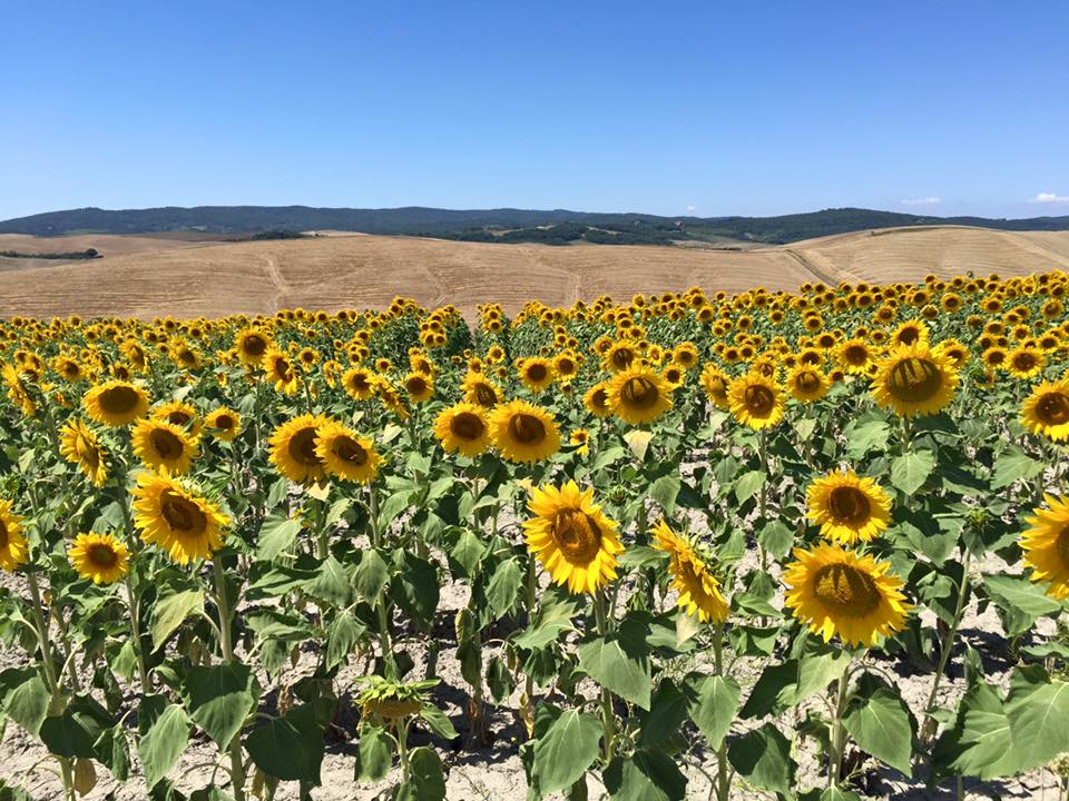 Via Francigena. Mi casa es tu casa. Cronaca dell'undicesima tappa