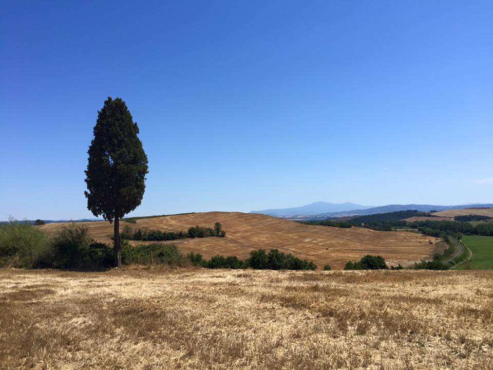 Via Francigena. Mi casa es tu casa. Cronaca dell'undicesima tappa