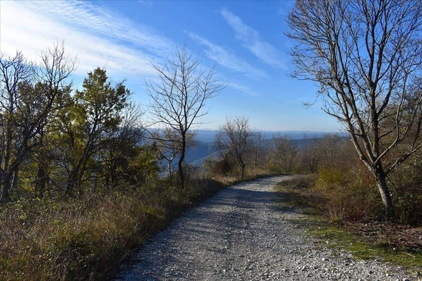 Strada bianca che parte dall'area attrezzata